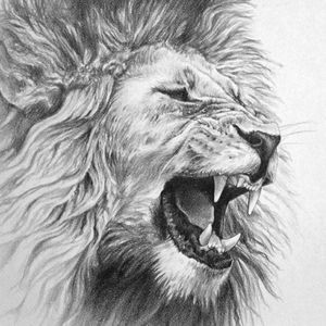 Meet your Posher, Ana maria